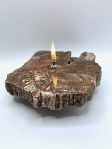 Fossil & Petrified Wood Oil Candles