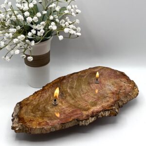 This beautiful Large Indonesian Petrified Wood 2 Wick Oil Candle includes a glass wick holder with fiberglass wick